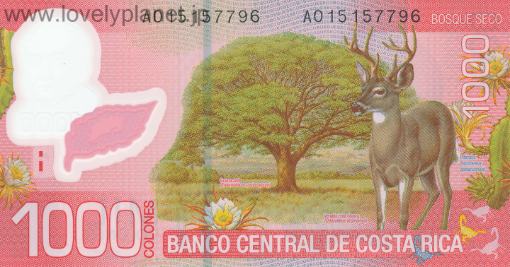 紙幣・貨幣コスタリカ