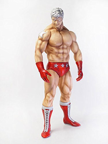 Amazon.co.jp: CCP マスキュラー コレクション Vol.DX 40cmテリーマン