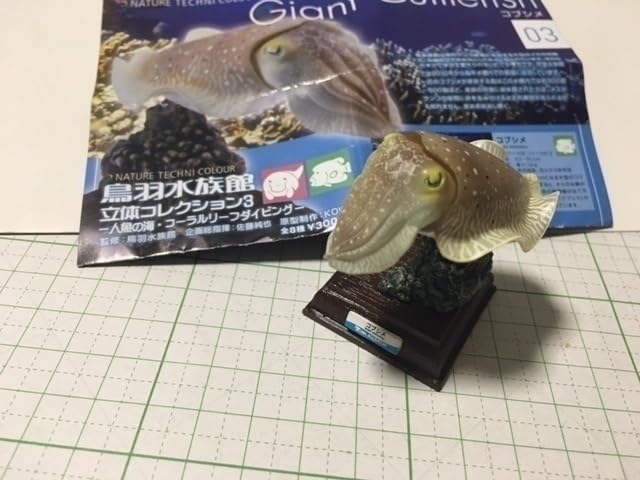 Amazon.co.jp: ネイチャーテクニカラー コブシメ 鳥羽水族館