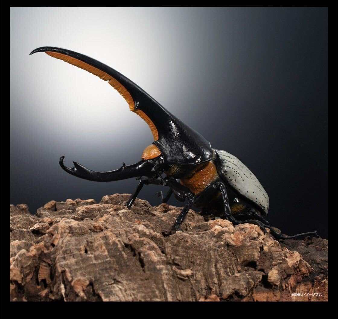 Amazon | いきもの大図鑑プレミアム ヘラクレスオオカブト ヘラクレス