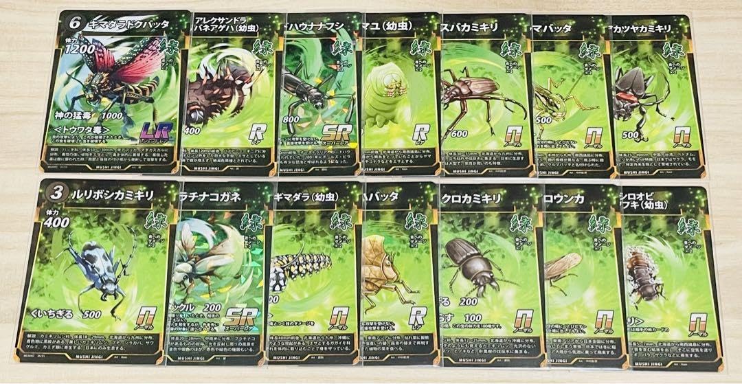 Amazon.co.jp: 蟲神器 第2弾 カード 14枚 緑 セミコンプリートセット