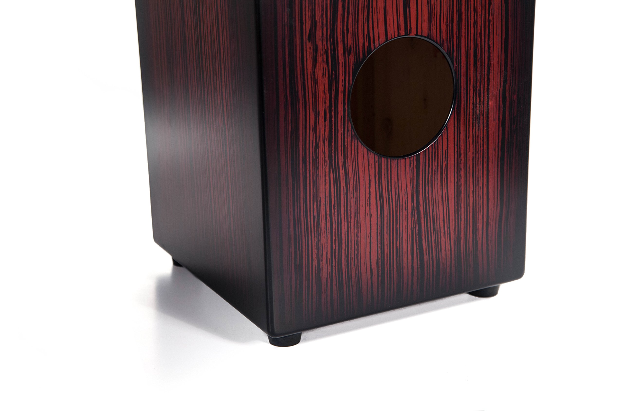 Amazon.com: LP Aspire Accents Wire Cajon Dark Wood Streak LPA1332