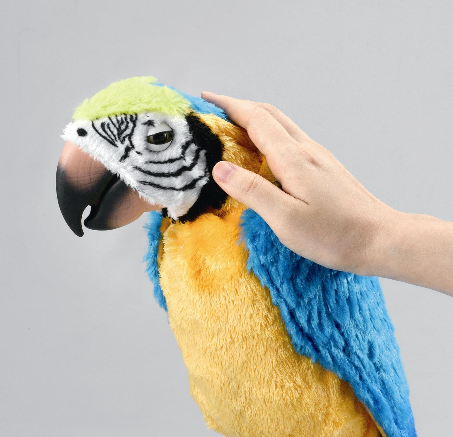 Amazon.co.jp: セガトイズ(SEGA TOYS) 夢おうむ : おもちゃ