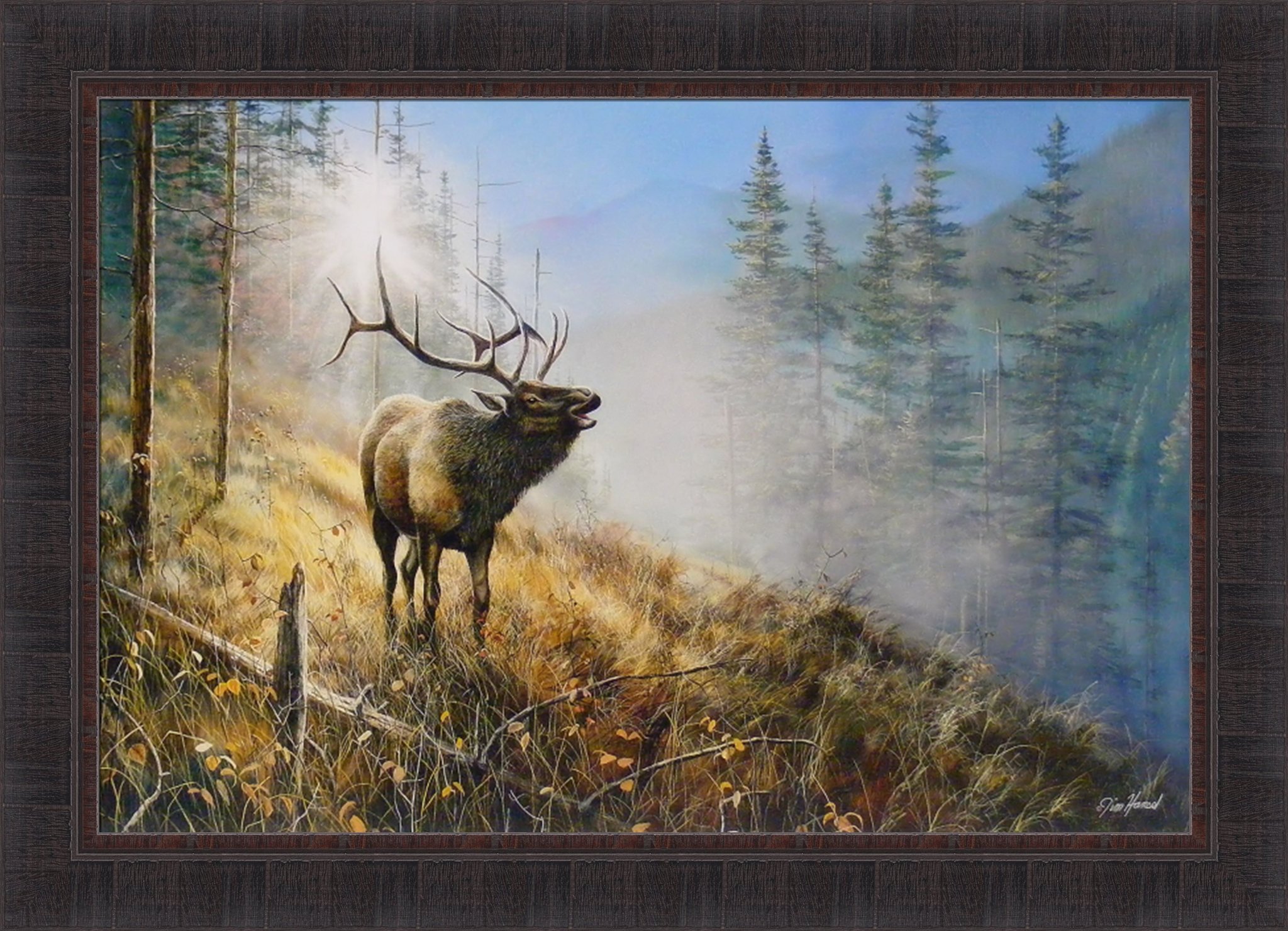 Amazon.com: Song In The Mist by Jim Hansel 24x33 Bull Elk Wildlife