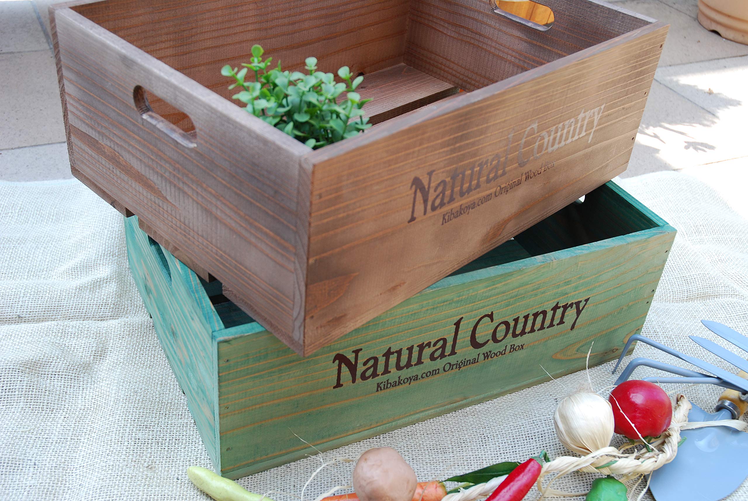 Amazon.co.jp: キバコヤ【ガーデニングボックス】屋外用 Lサイズ