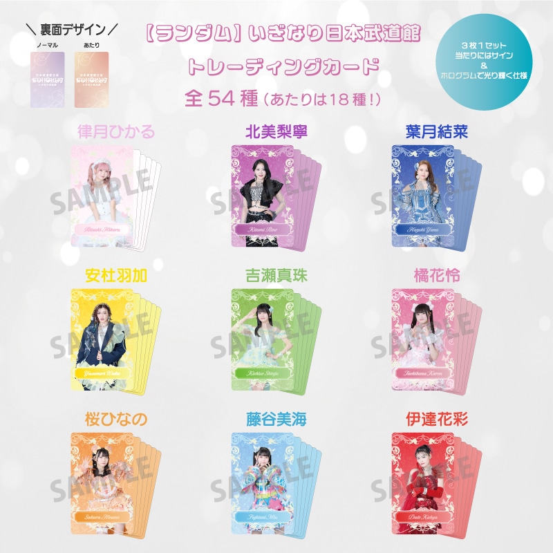 ランダム】いぎなり日本武道館 トレーディングカード｜いぎなり東北産