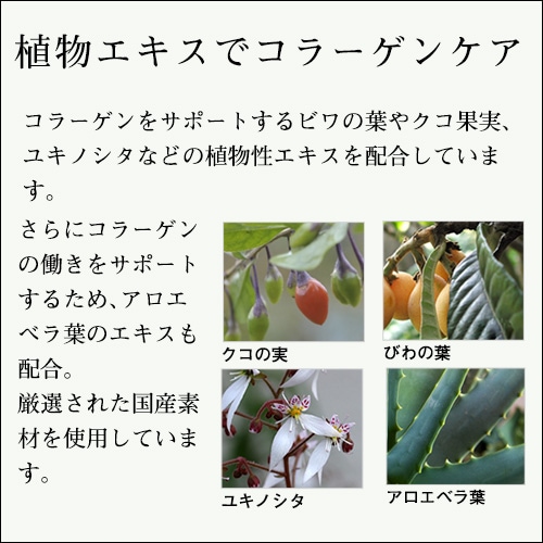 テラの輝きモイスチャークリーム 詰替パウチ400g｜トータルヘルス