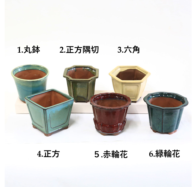 鉢：中国深鉢 5号*資材 | 盆栽鉢・水盤,お買い得小鉢,色物,鉢径12cm