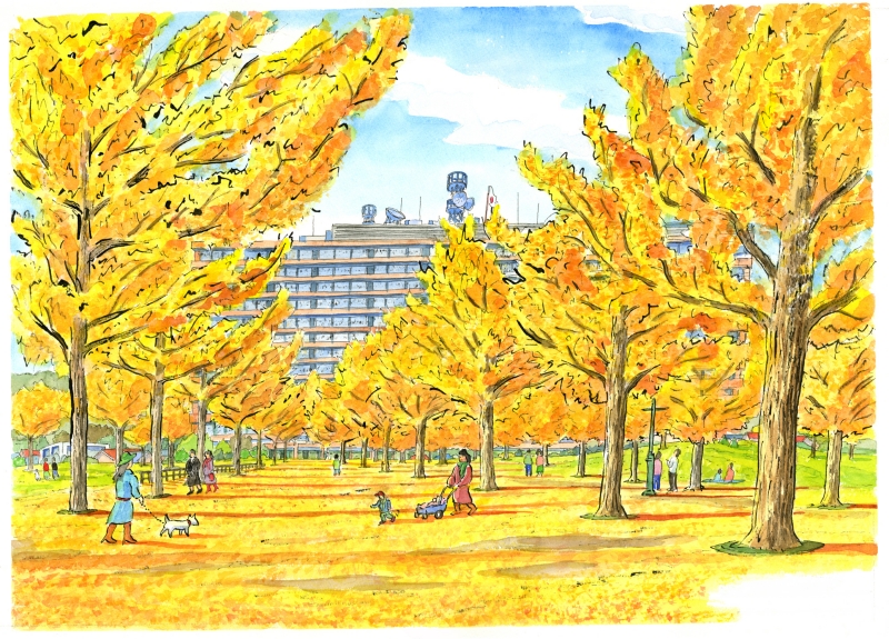 絵画の水彩画で内藤謙一が描いた絵「熊本県庁・銀杏並木」