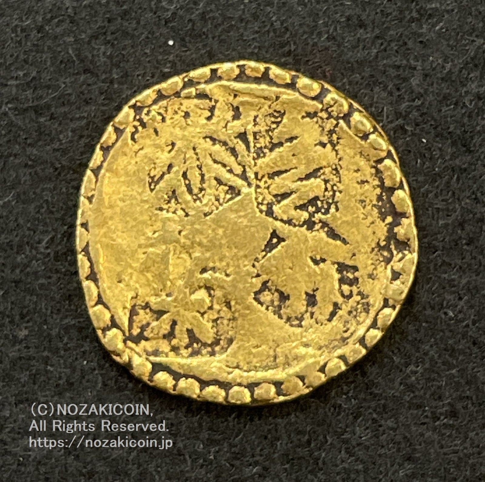 IMG_6986_1600x.jpg?v=1711968231