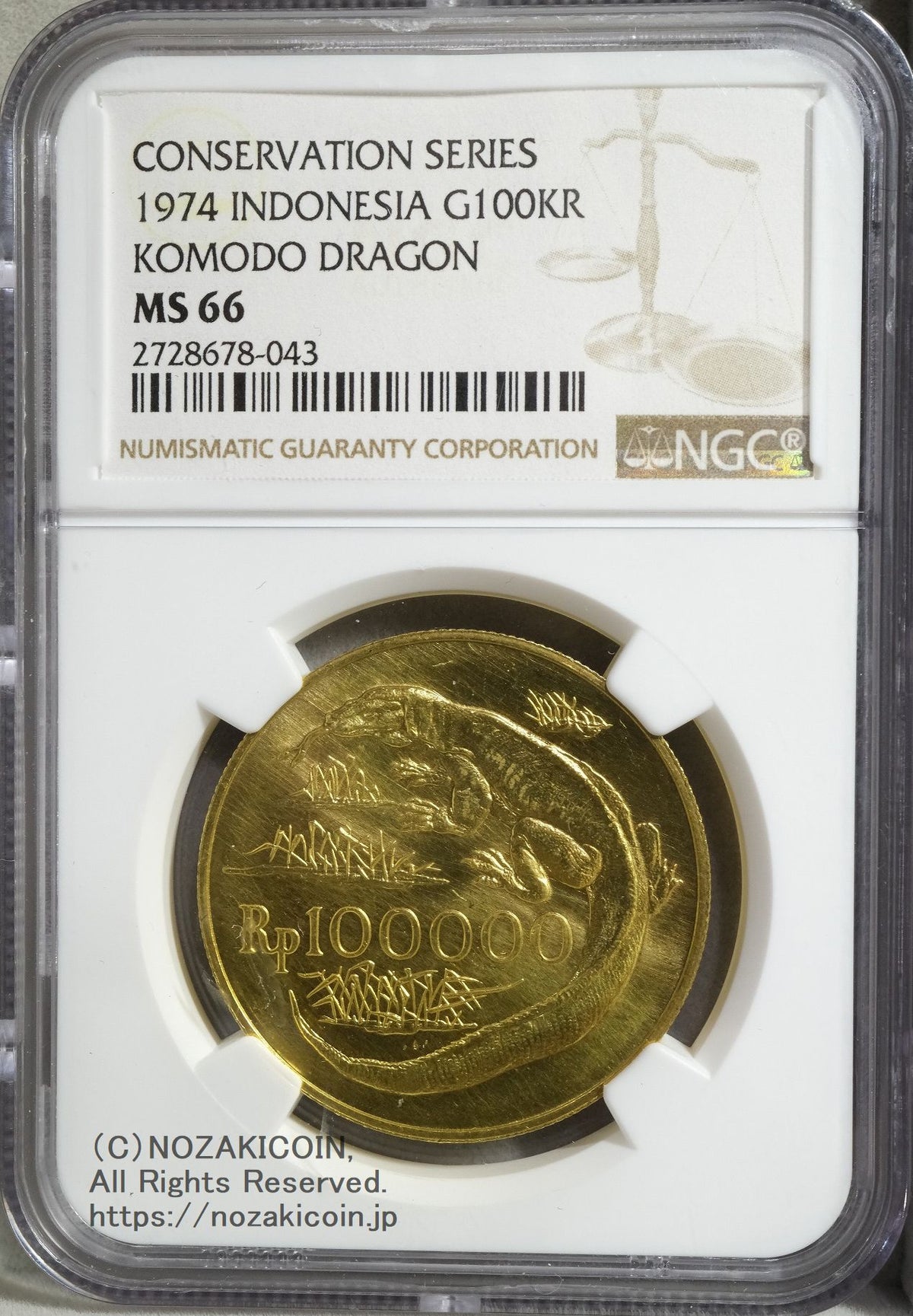 s-DSCF0540_1200x.jpg?v=1745316258