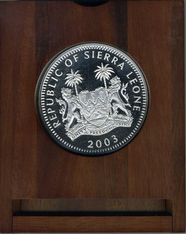 img319_1_600x.jpg?v=1689652928