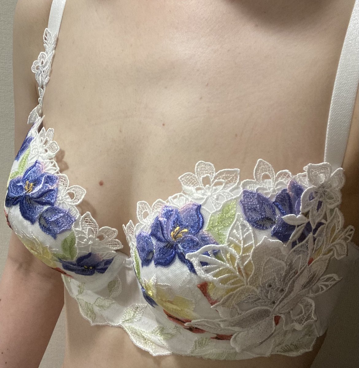 サルート。46グループ。E70。