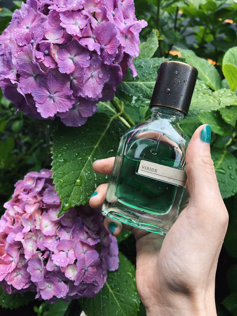 ORTO PARISI｜ヴィリデ 五月雨は緑色。 しとしと降る雨に、若葉の息吹