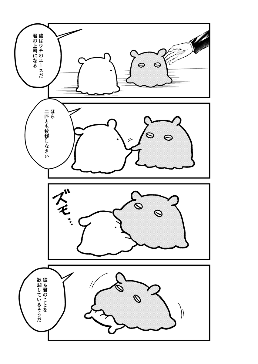 メンダコ・コーポレーション①