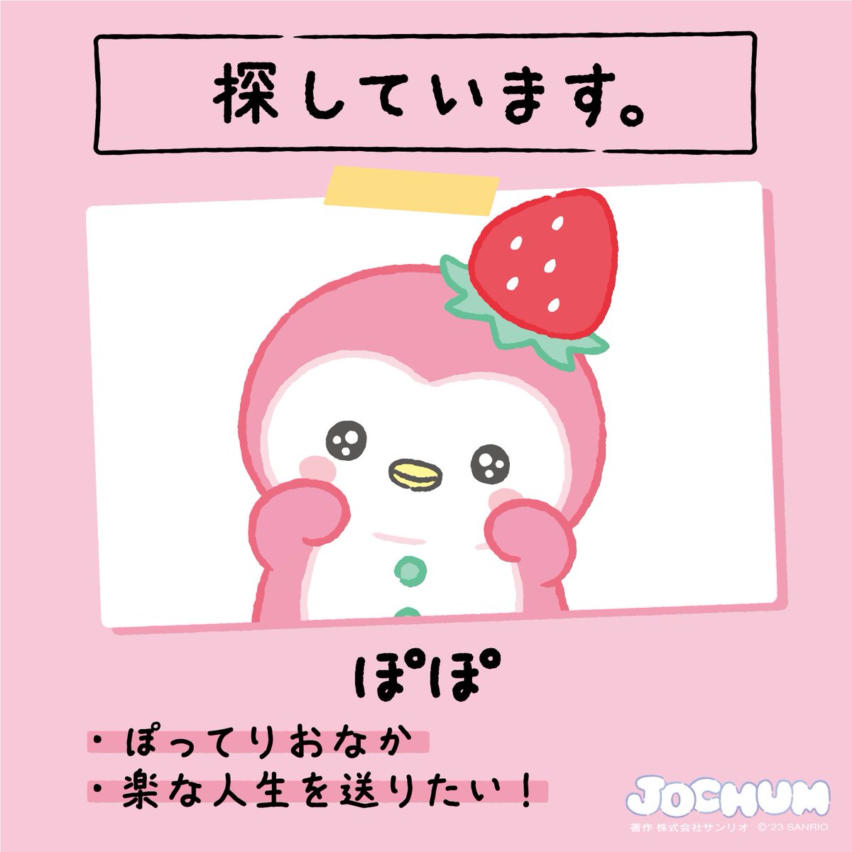 ◤ ◥|| どこかで見ていませんか？💦 ||◣ ◢|| #みつけてJOCHUM