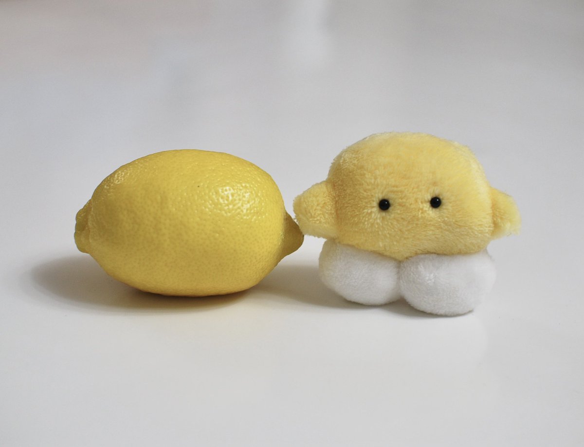 レモンの赤ちゃんは普通のレモンよりちょっと小さくてうんと軽い🍋