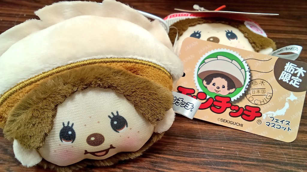 こんにちは✨️ 栃木限定😍モンチッチのご紹介です👏 ちょこんと乗った