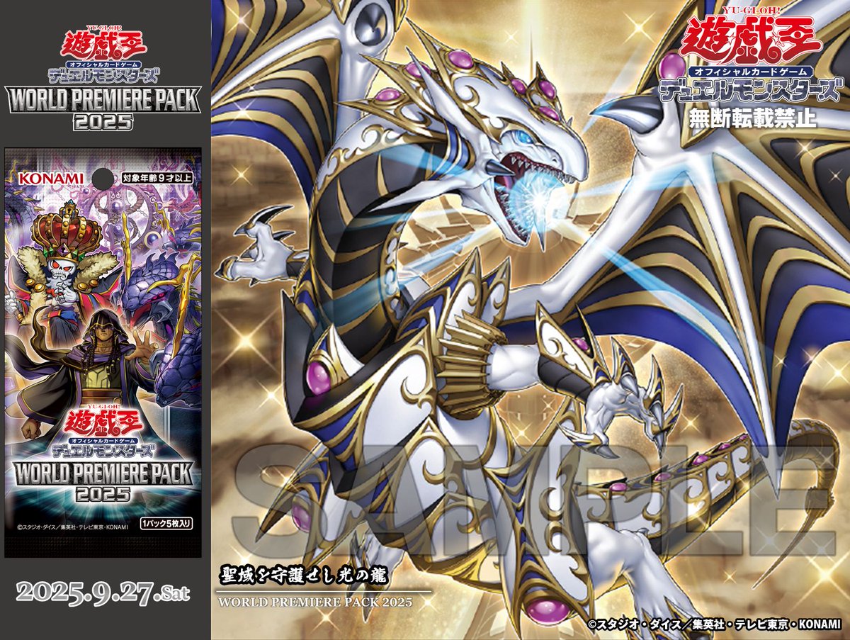 遊戯王OCG Dragon of Illumination 日本選手権 PSA10 Dragon of