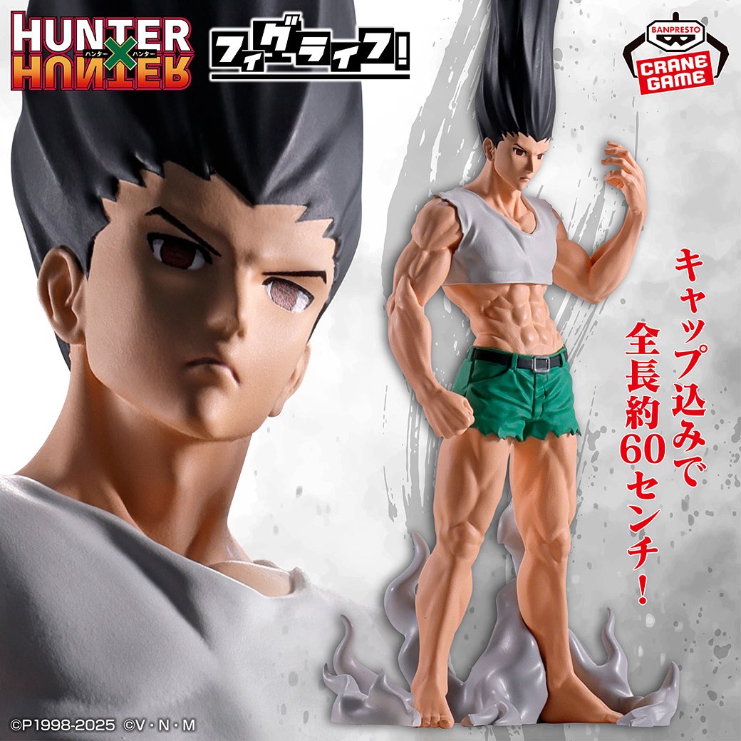 HUNTER×HUNTER フィギュア フィグライフ ゴン 18点 まとめ売り