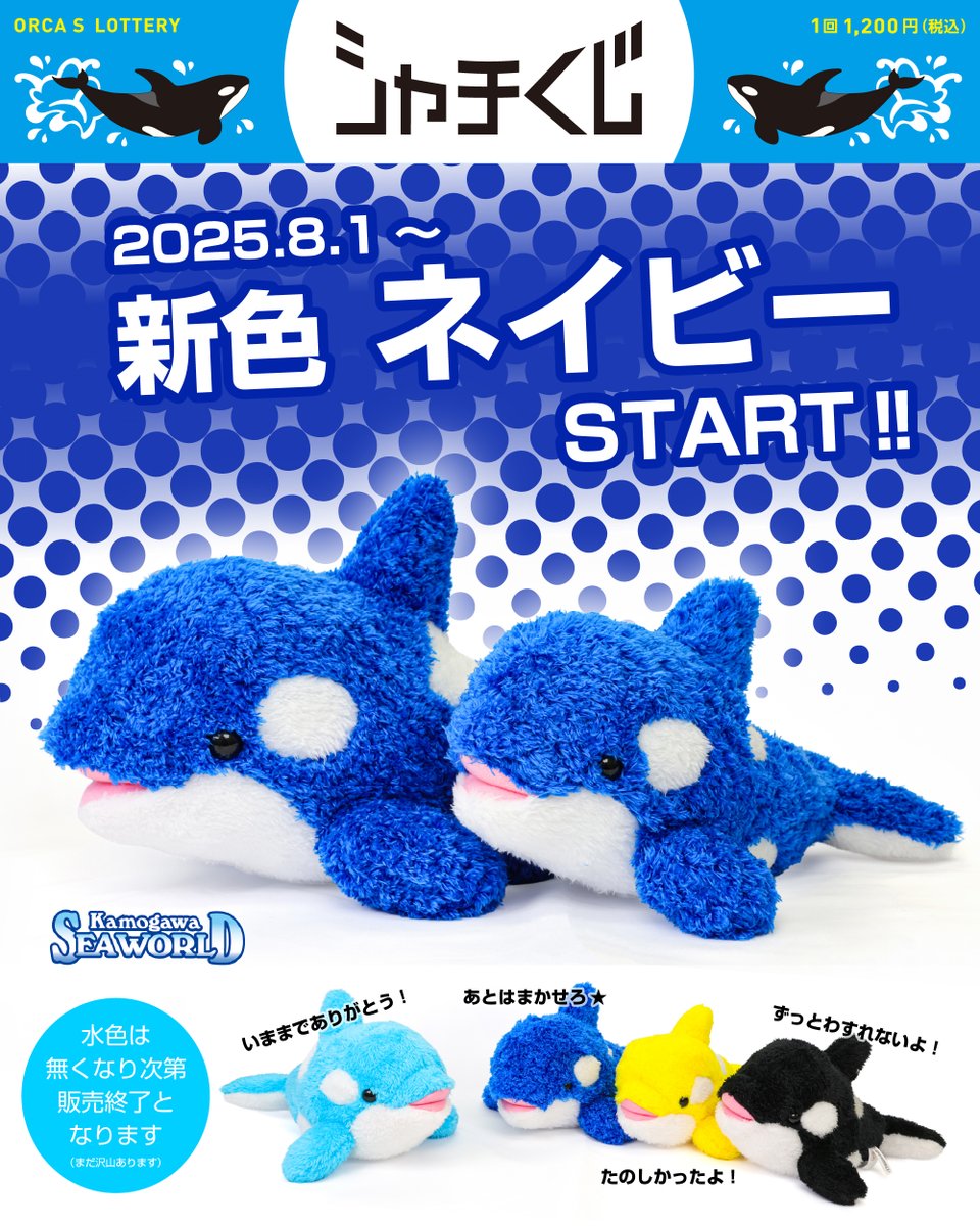 どうあがいてもシャチのぬいぐるみが当たる大人気のぬいぐるみくじ