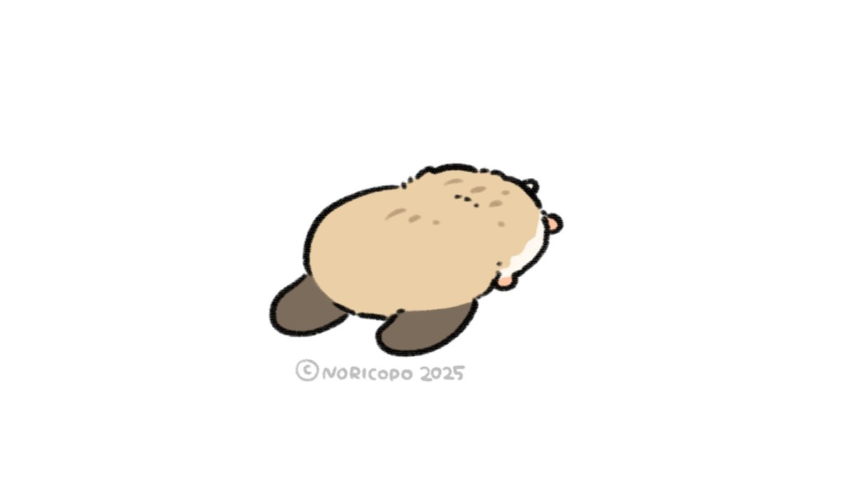 Post by NORICOPO🐹 クソハムちゃん on X: #ロボロフくん