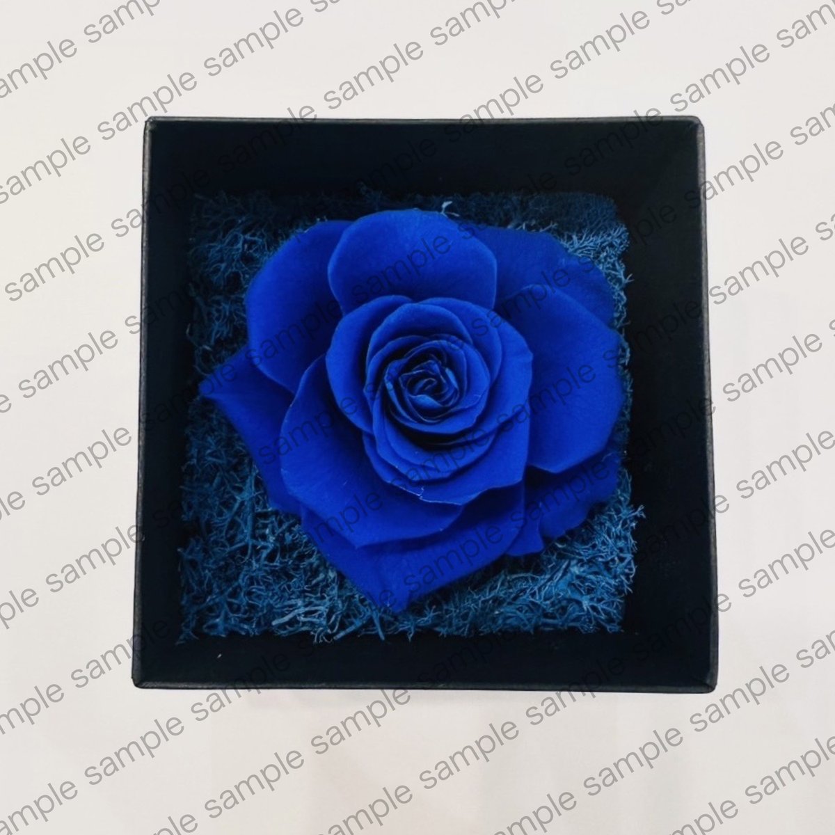 Ado SPECIAL LIVE 2024「心臓」国立競技場公演 VIP席/SS席/アルバム