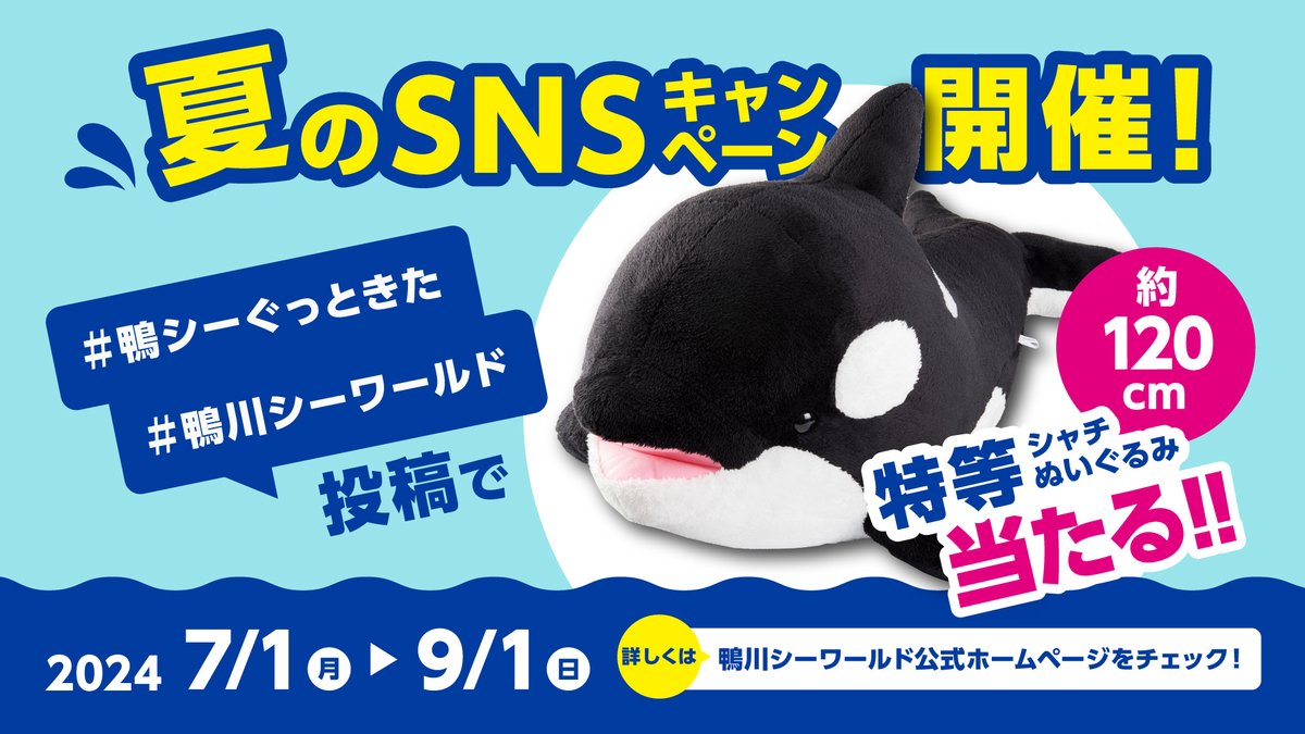 GVitlXcW0AA96aI.jpg?format=jpg