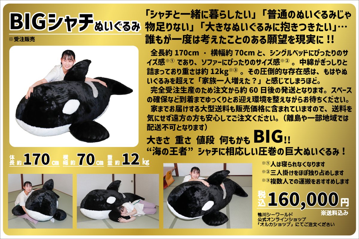 全長170㎝、重さ12㎏、鴨川シーワールドオリジナル 超特大「BIGシャチ