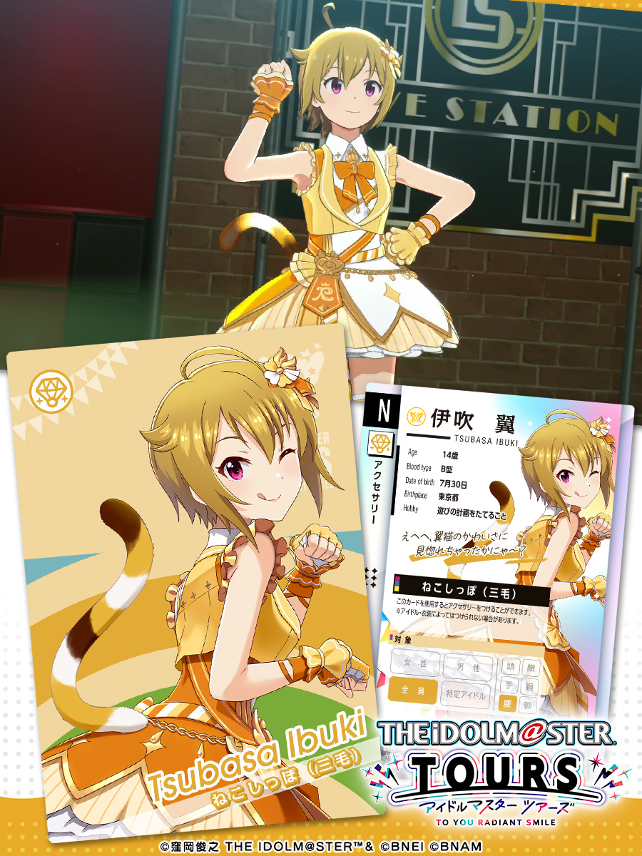 PSA 10 伊吹翼 ヴァイスシュヴァルツ アイドルマスター SP サイン