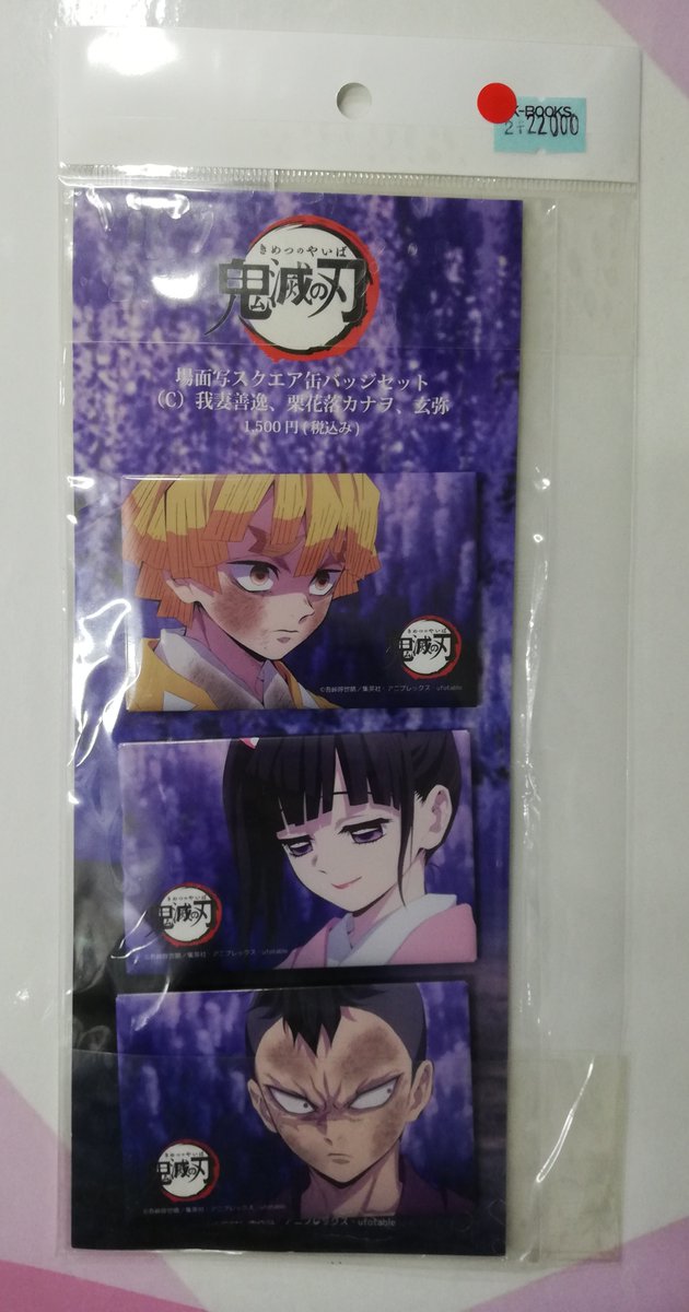 鬼滅の刃 栗花落カナヲ 我妻善逸 不死川玄弥 場面