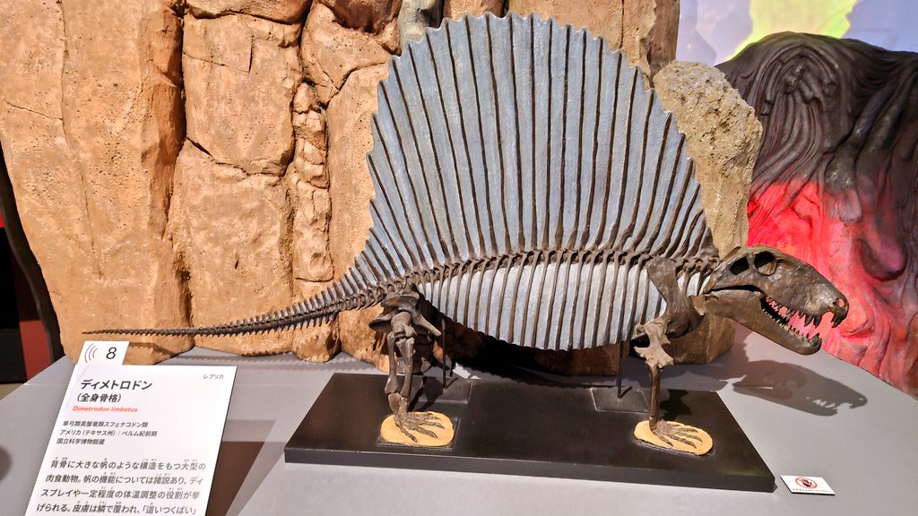 遅ればせながら大絶滅展に行ってきました。平日に行ったおかげで