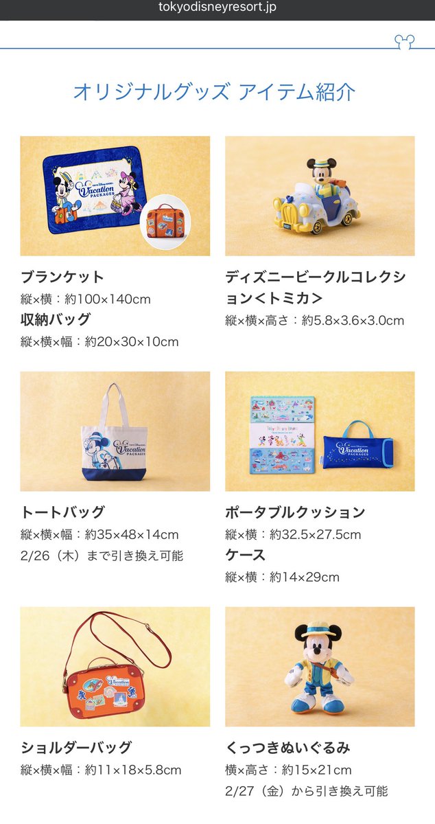 ディズニー アメニティ バケパグッズ まとめ売り ✈️バケパ組、グッズ