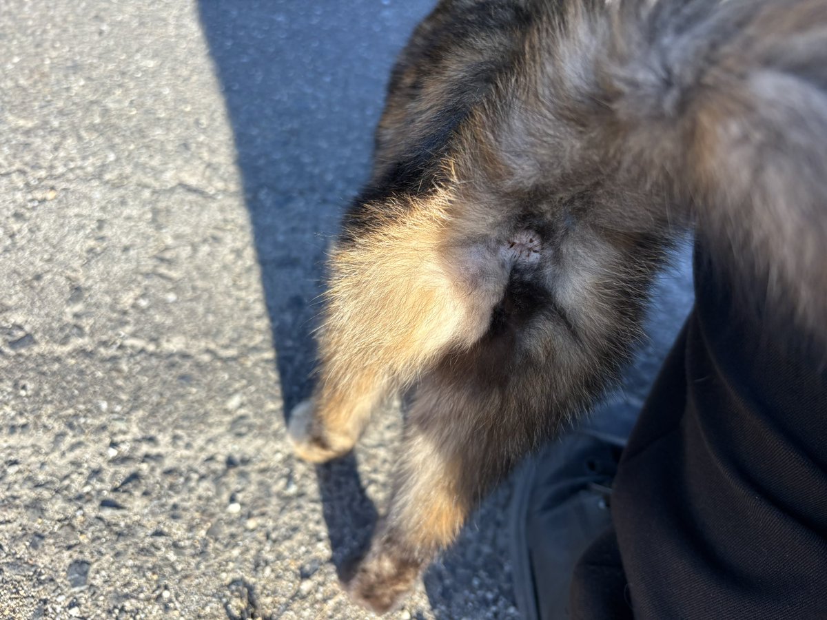 くろまめ (@KuroMaMe777666) / Posts / X