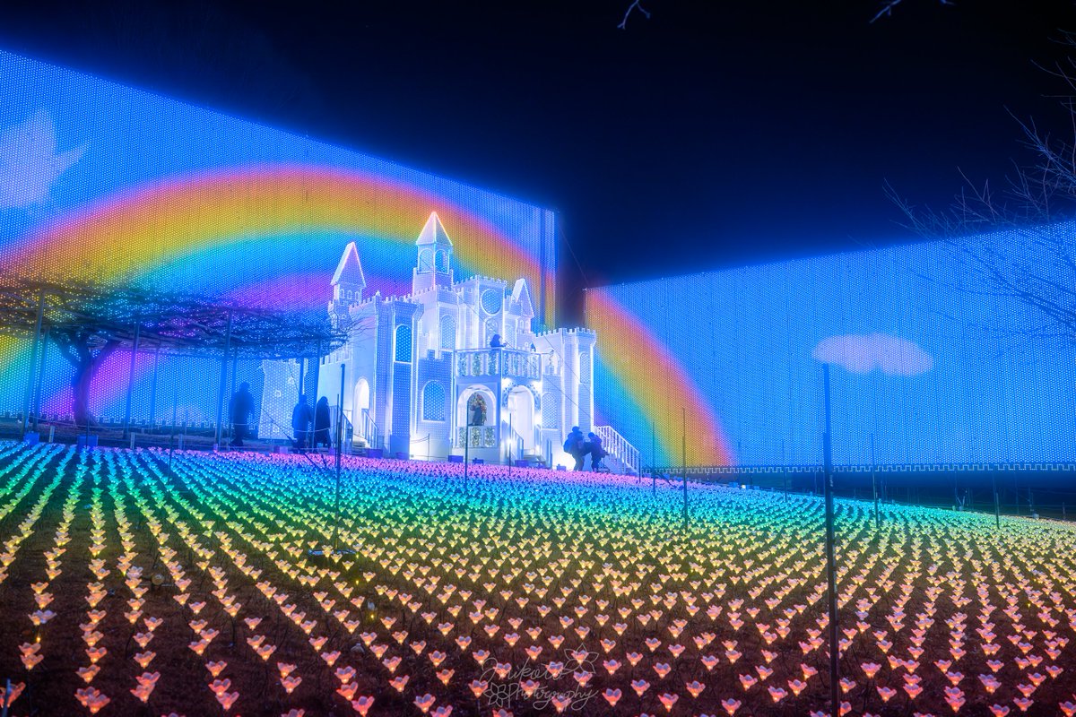 📷：𝙉𝙞𝙠𝙤𝙣 ℤ9 lens：NIKKOR ℤ24-70mm f/2.8 S II 撮影地：栃木