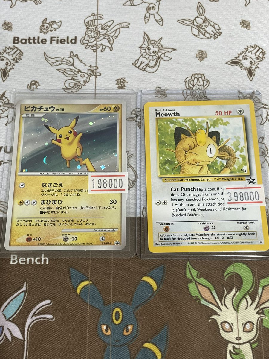 🌟🌟🌟🌟🌟🌟🌟🌟 🌟🌟 新入荷情報