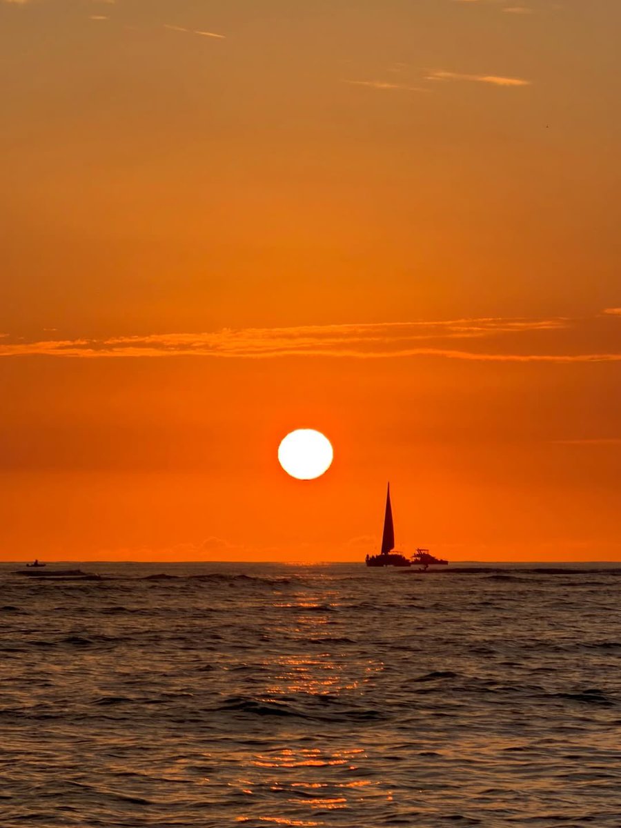 藤原樹　クッション