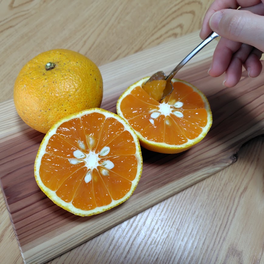 幻のみかん🍊」をご存じですか？ ”市木(いちぎ)オレンジ”🍊は、栽培し