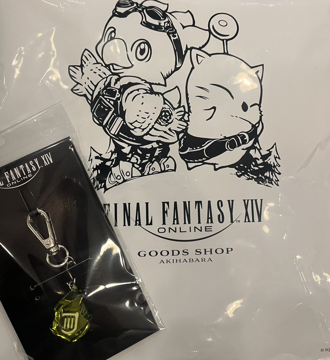 僕は新米吟遊詩人🪉🎼✨️ まだこの石の意味を知らない。 いつかこの