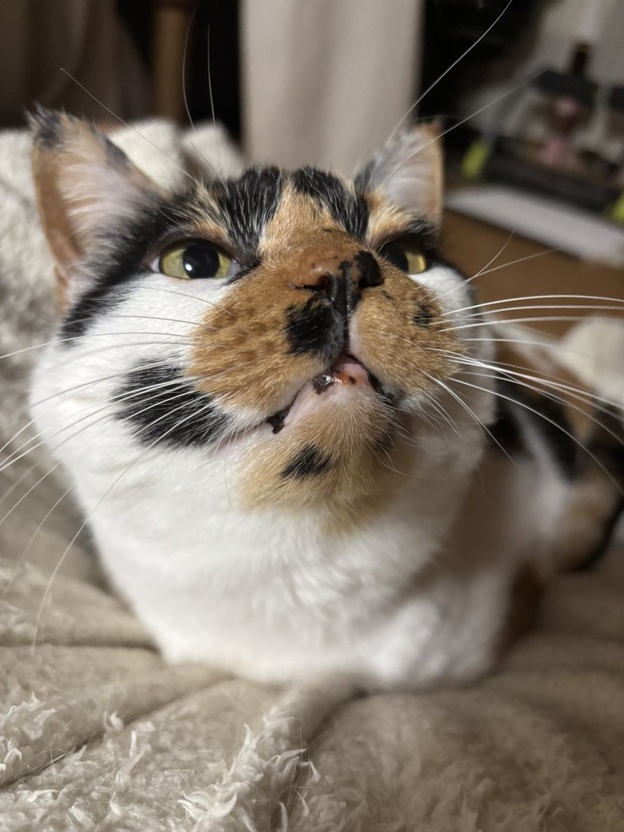 お口の中にも模様あるよ！