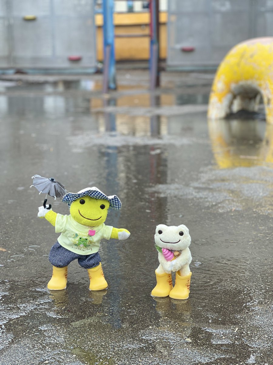 かえるのピクルス/pickles the frog (@picklesthefrog6) / Posts / X