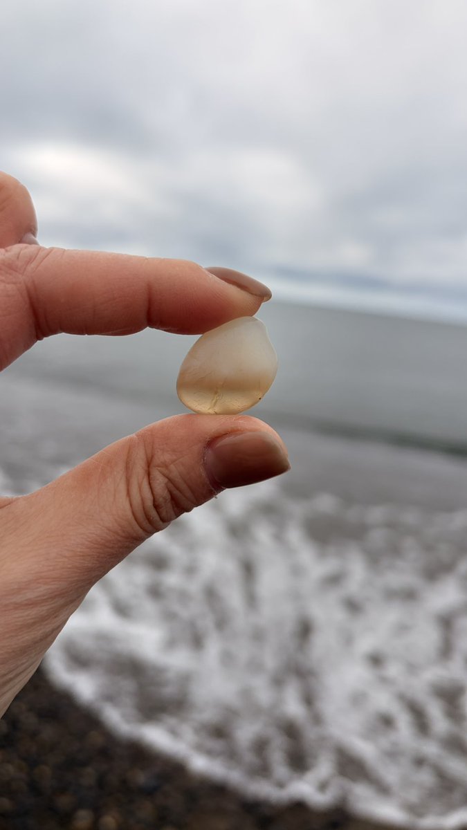 青森の素敵石コレクション