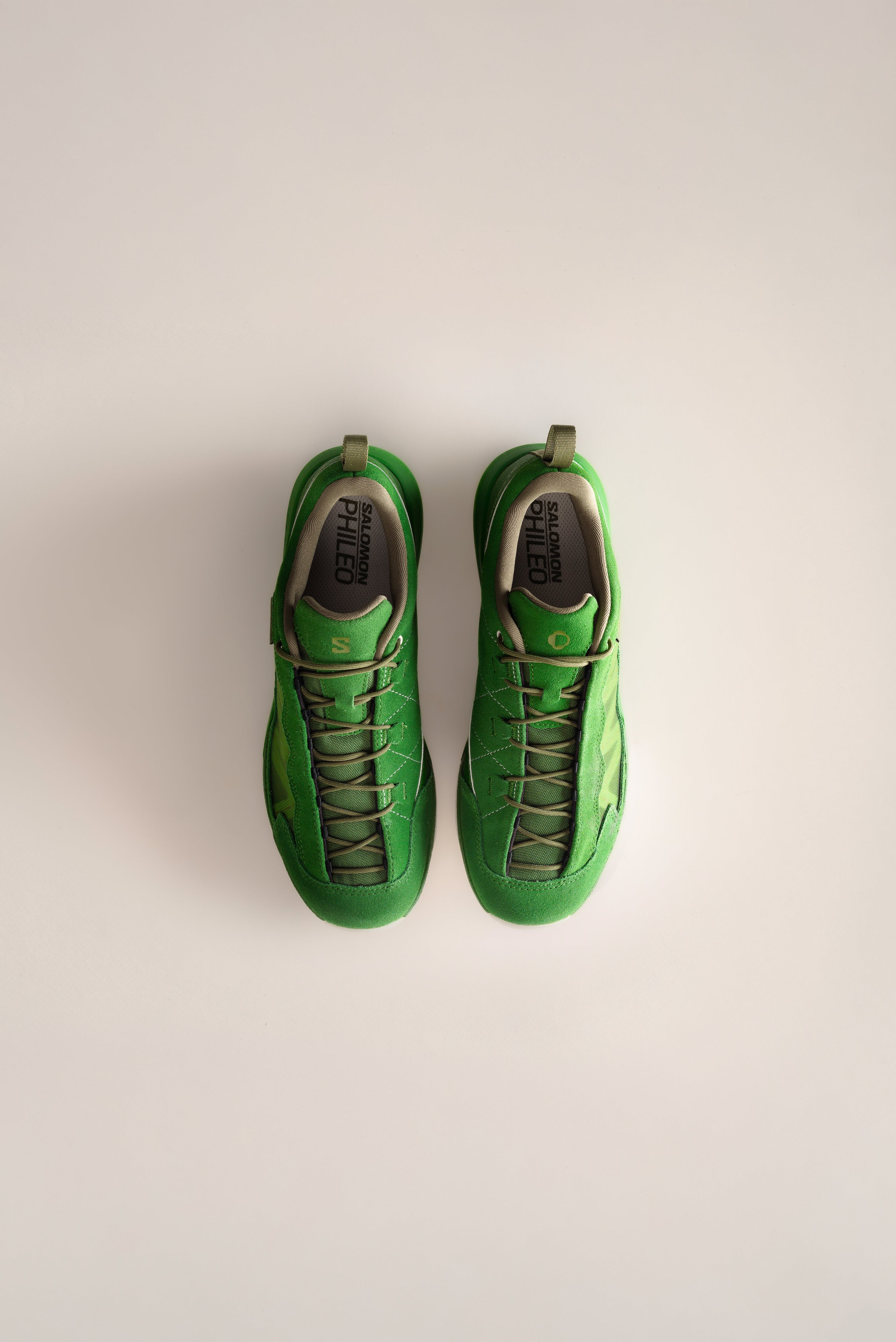 XT-SP1 / Darkest Spruce – PHILEO