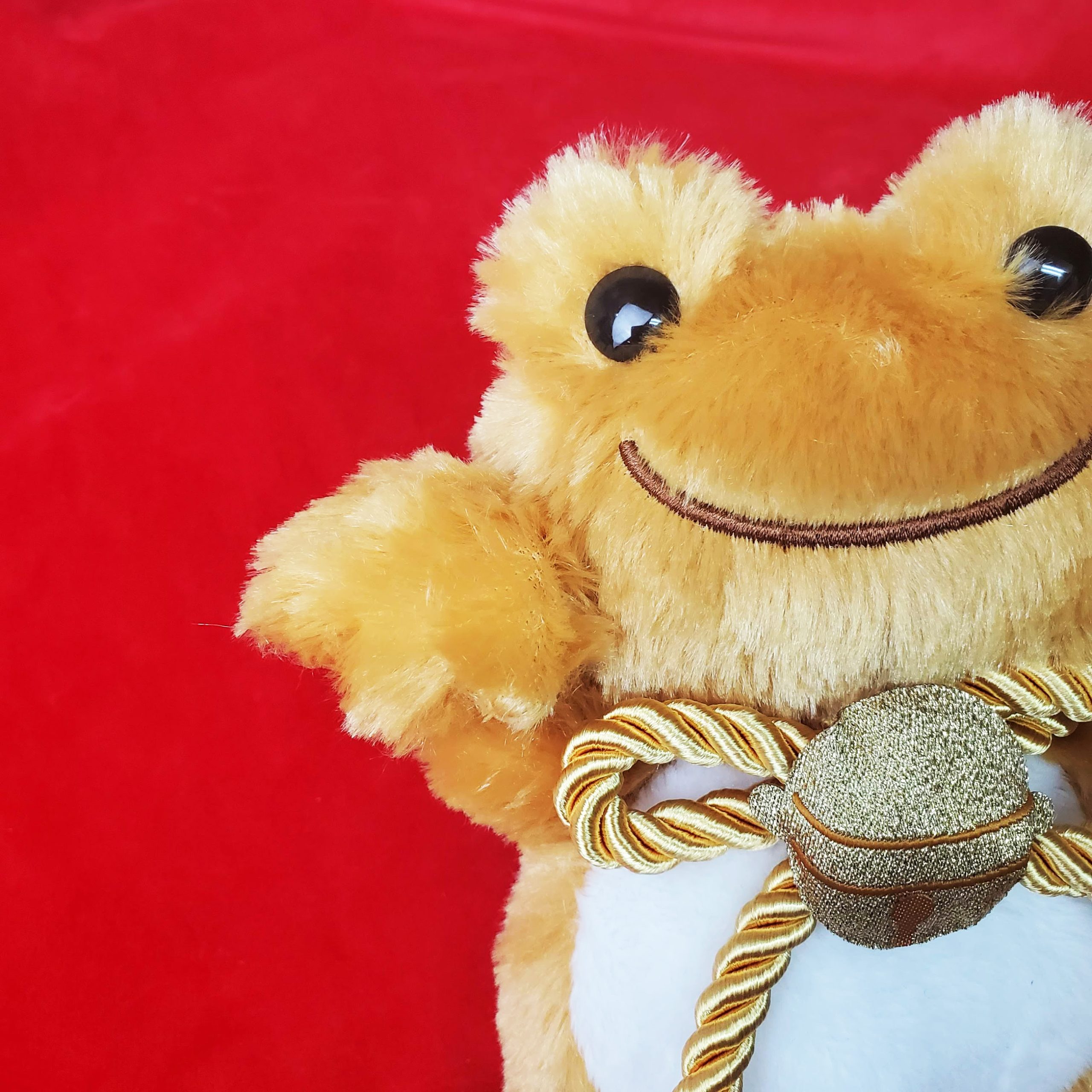 イベント・ラヴィラド限定商品のご紹介♪】#かえるのピクルス