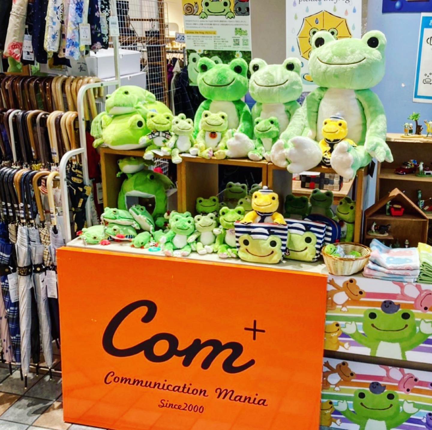 ピクルス展開コーナーのご紹介♪】 #かえるのピクルス #picklesthefrog