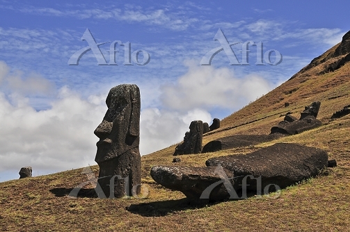 イースター島のモアイ像 [15703486]の写真素材 - アフロ