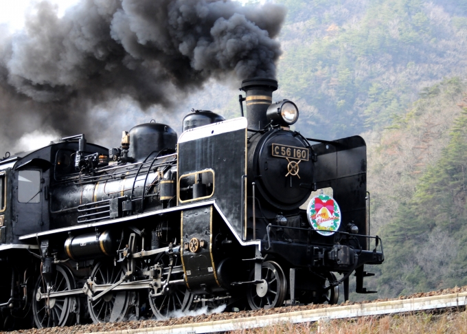 JR西日本 国鉄C56形蒸気機関車 SLやまぐち号 C56 160 長門峡駅 鉄道