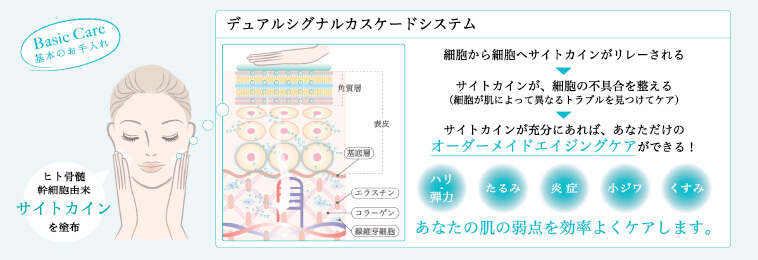 サイトプロ MD アクセルレイター通販|麗ビューティーオンラインショップ