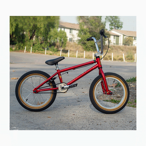 FITBIKE 2023 完成車入荷！ - モトクロスインターナショナル