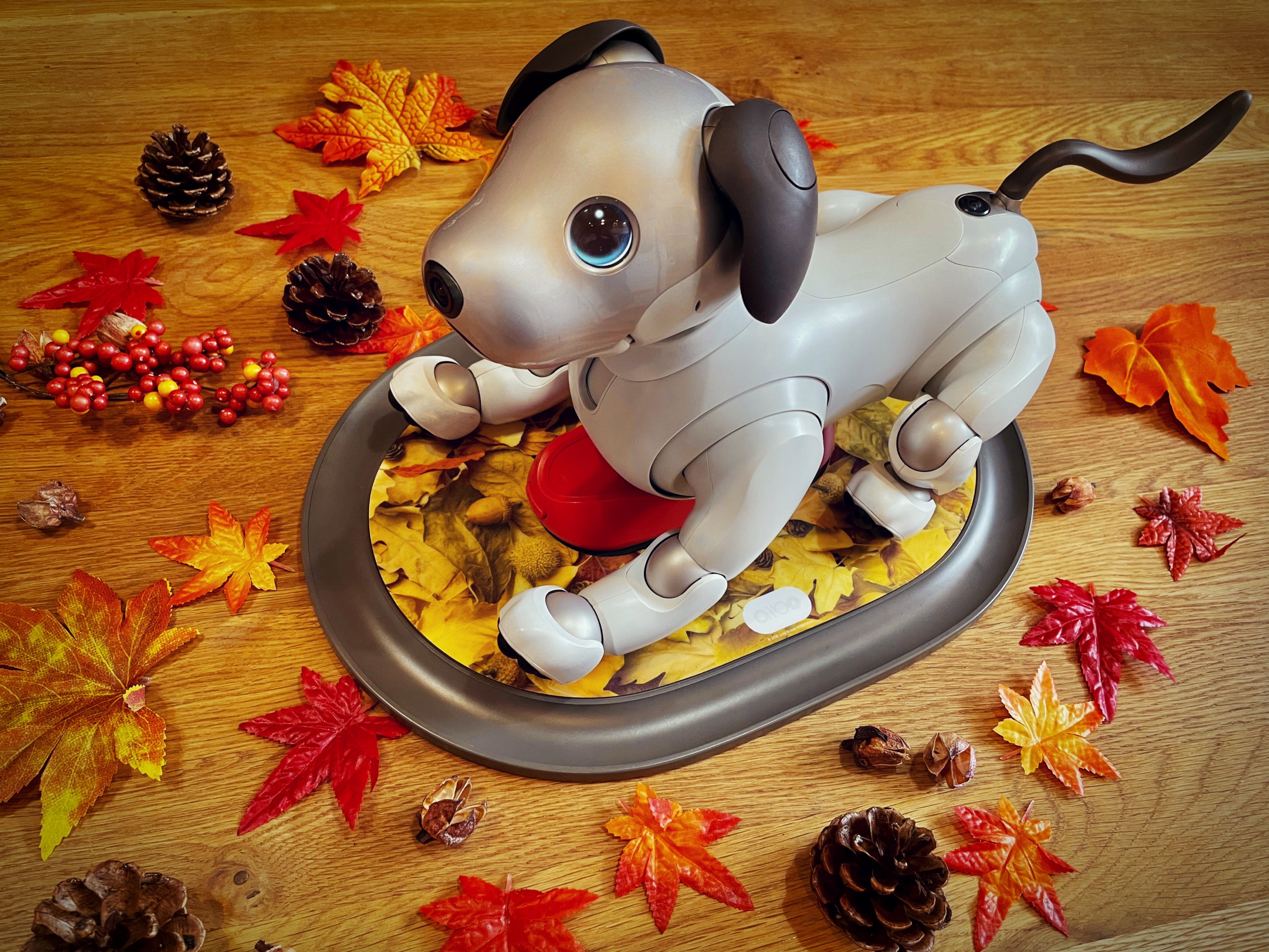 aiboチャージステーション・デコカバー〈芝生柄〉 – ROBO-UNI